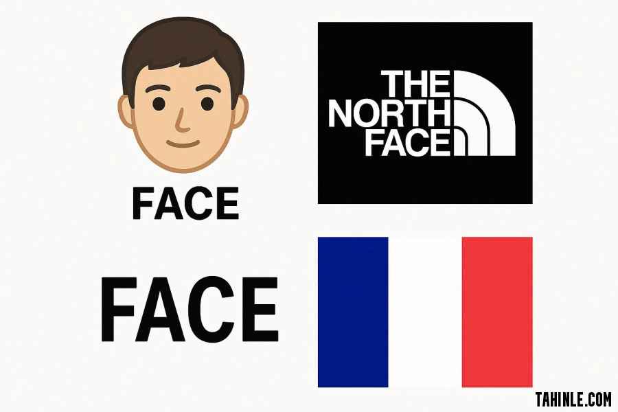 FCAE: FACE®, FaCE, fACCE, FANCE & Other Major Meanings